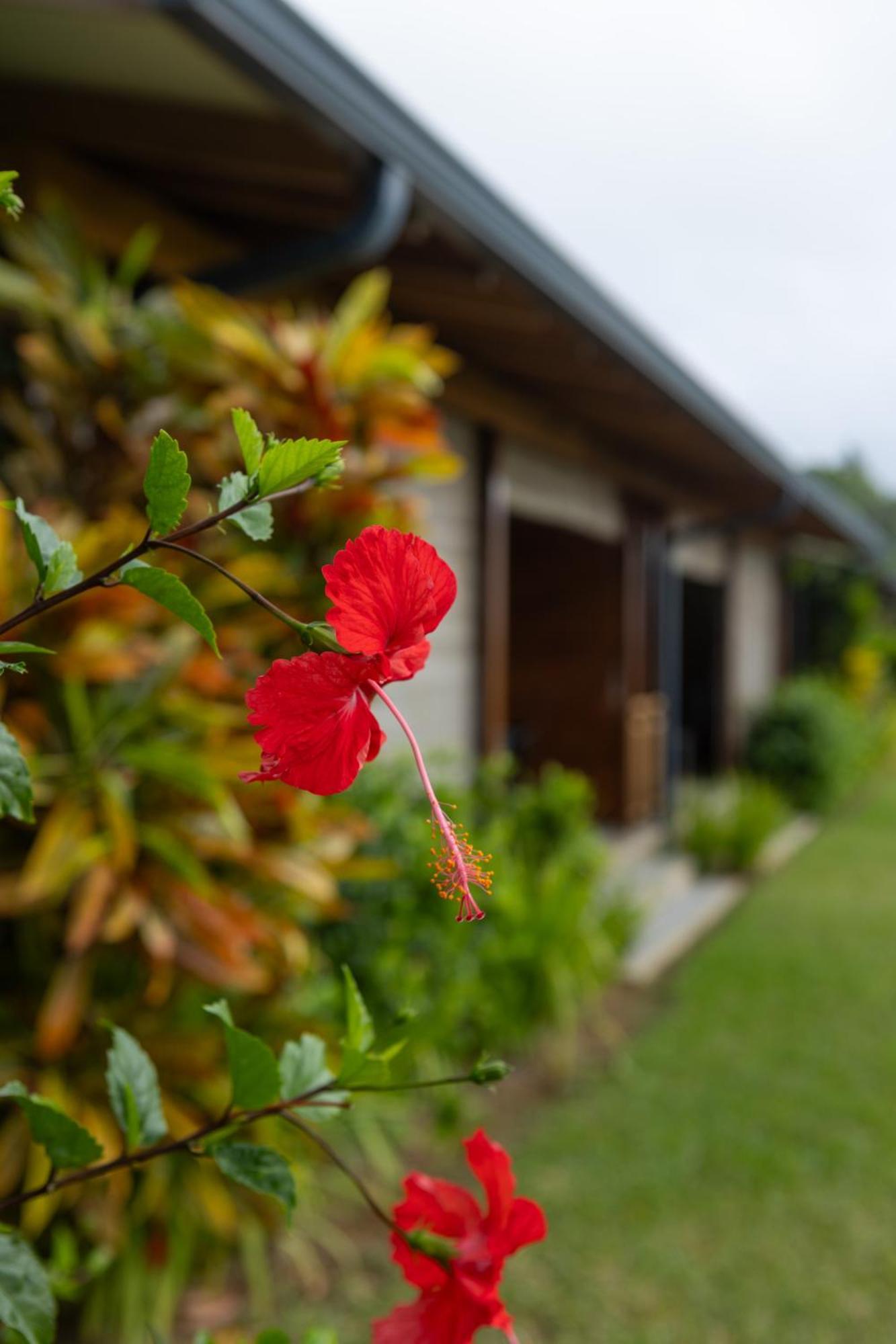 Paradise Chalets Yoga & Wellness Takamaka Zewnętrze zdjęcie